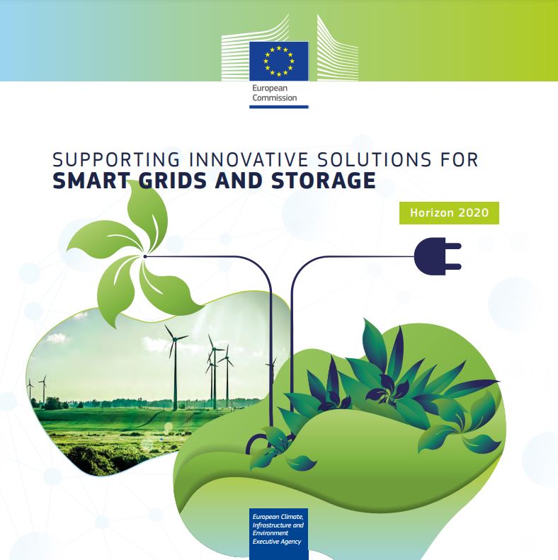 smart grids_publication